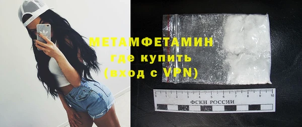 шишки Мегион