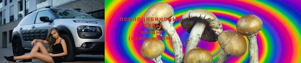 крисы Михайловск