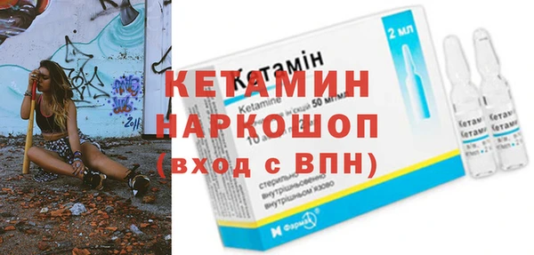 шишки Мегион